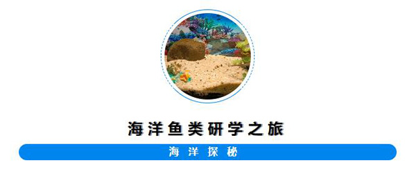 将军湖幼儿园探索海洋鱼类神秘之旅